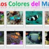 Colores del mar por Princesa