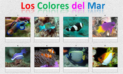 Colores del mar por Princesa