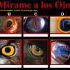 Mirame a los ojos por Pleno