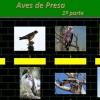 Aves de presa por Pinky