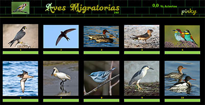Aves migratorias por Pinky