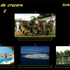 Vamos de crucero 3 por Oti