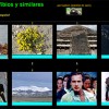Reptiles, anfibios y similares por Topitors