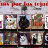 gatos-por-los-tejados