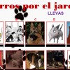 Perros por Pleno