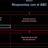 Respuestas con el ABC por Mariana