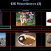 125_miscelaneos2